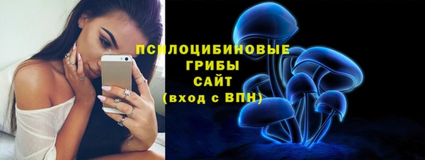 мдма Белокуриха